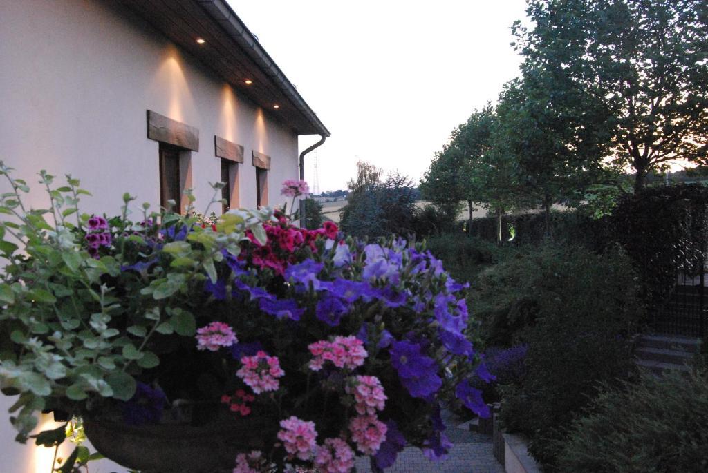 Hostellerie Gilain Achêne Exteriér fotografie